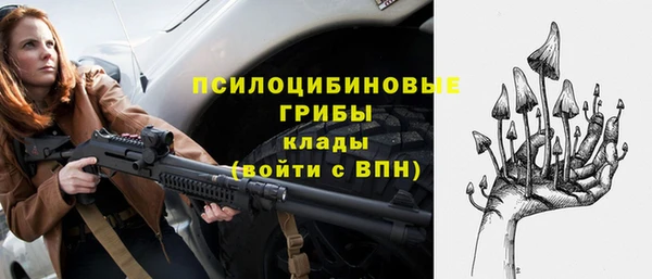 мдпв Ступино