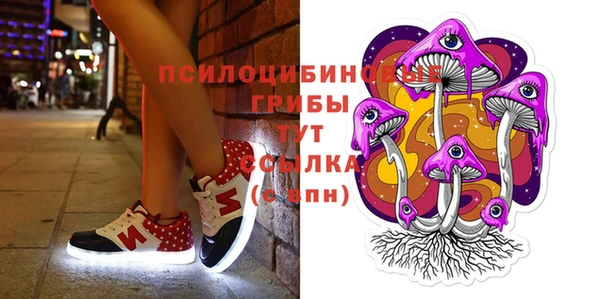 спиды Верхний Тагил