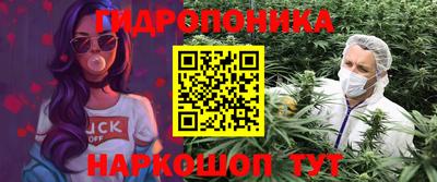 молекула духа Пенза