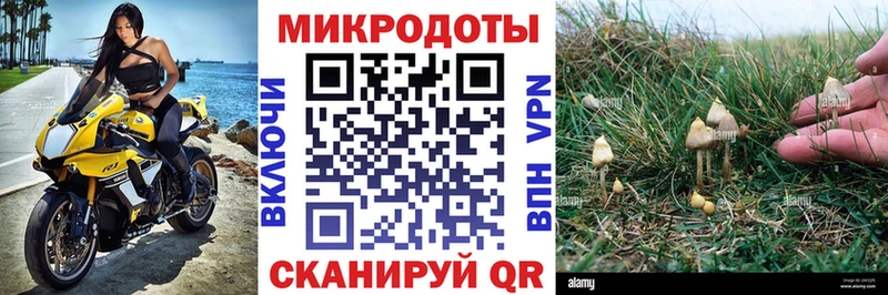 цена наркотик  Рузаевка  Галлюциногенные грибы Psilocybine cubensis 