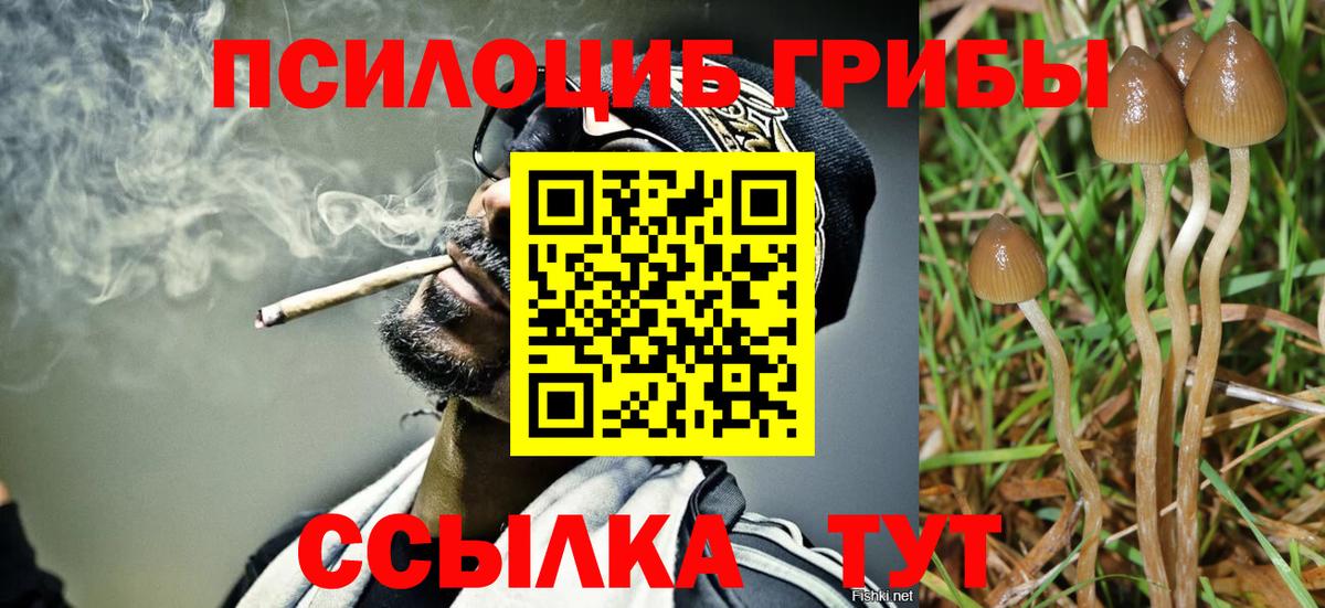 Псилоцибиновые грибы мухоморы  Вход с VPN  Рузаевка  закладка  Галлюциногенные грибы GOLDEN TEACHER 